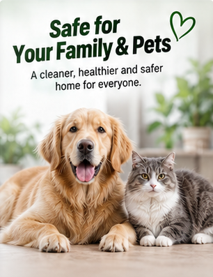 Mitex Rat Repellent Spray – Pack of 3 | Natural Rat Protection for Home, Car & Office.